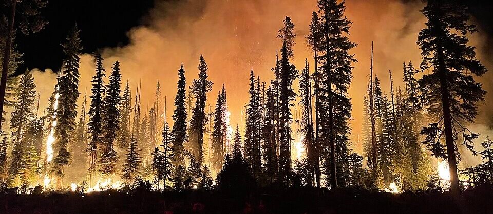 It Started With a Party Balloon Now Georgia Is Burning.