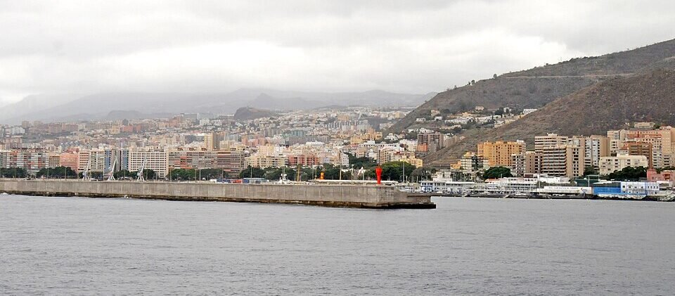A Hantavirus Outbreak on a Cruise Ship Has Health Officials on Alert