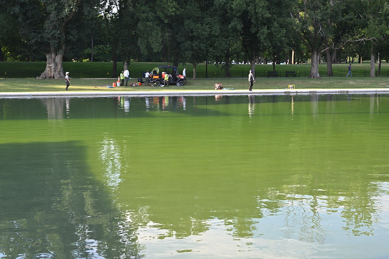 Peeling Paint and Rising Questions: Lincoln Memorial Reflecting Pool Renovation Faces New Scrutiny