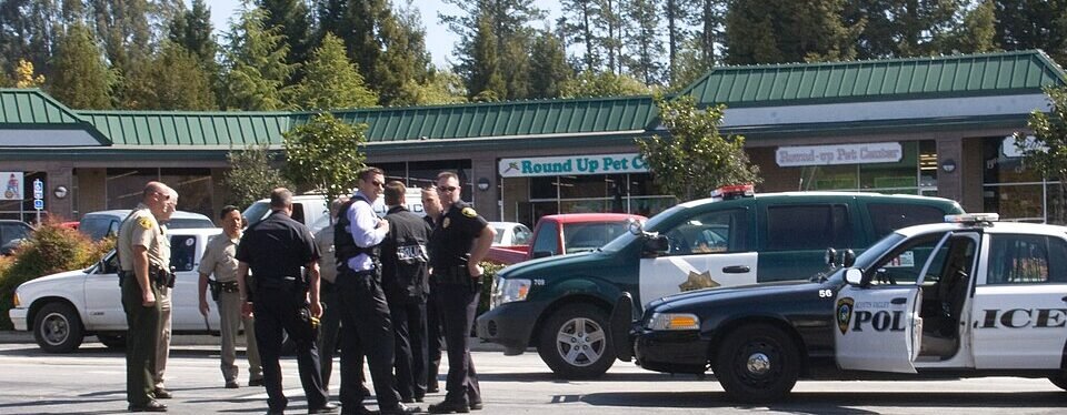 Three Dead Toddler Among Wounded After Shooting at Bite of Seattle Festival