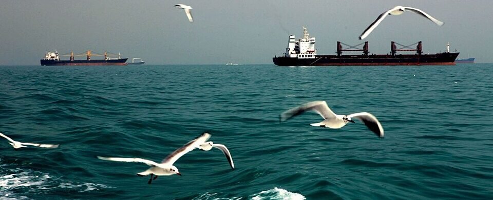 Debate Grows Over Gulf Security as Trump Calls for Greater Cost-Sharing
