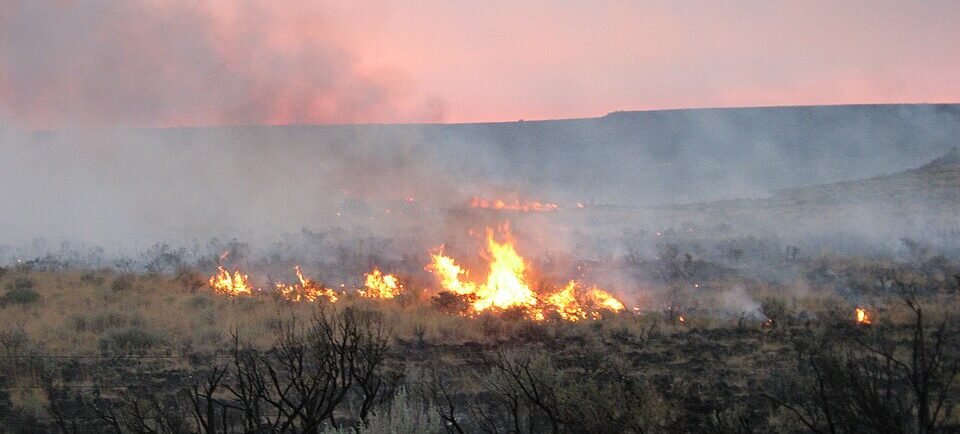 Fast-Moving Nevada Wildfire Forces Tens of Thousands Out of Homes Near Reno