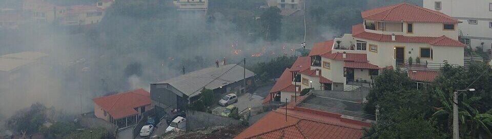 Indonesia Wildfire Crisis Puts Practical Forest Management Ahead of Climate Politics