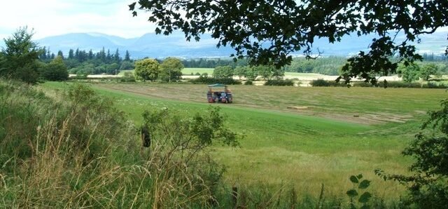 EU and Ireland Face Renewed Dispute Over Traditional Turf Cutting